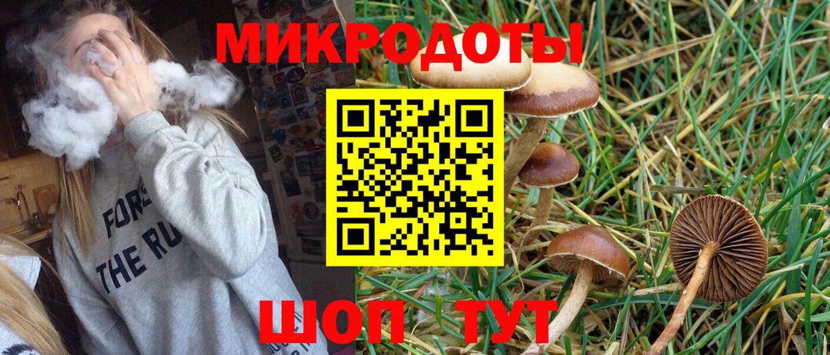 Псилоцибиновые грибы MAGIC MUSHROOMS Кашира